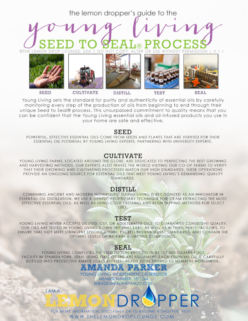 SEED TO SEAL v1.1